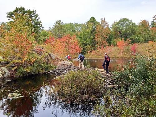 Beaver-Dam-Crossing